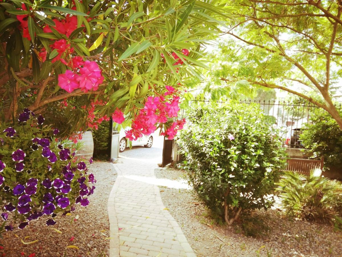 הומפס La Maison Des Palmiers מראה חיצוני תמונה