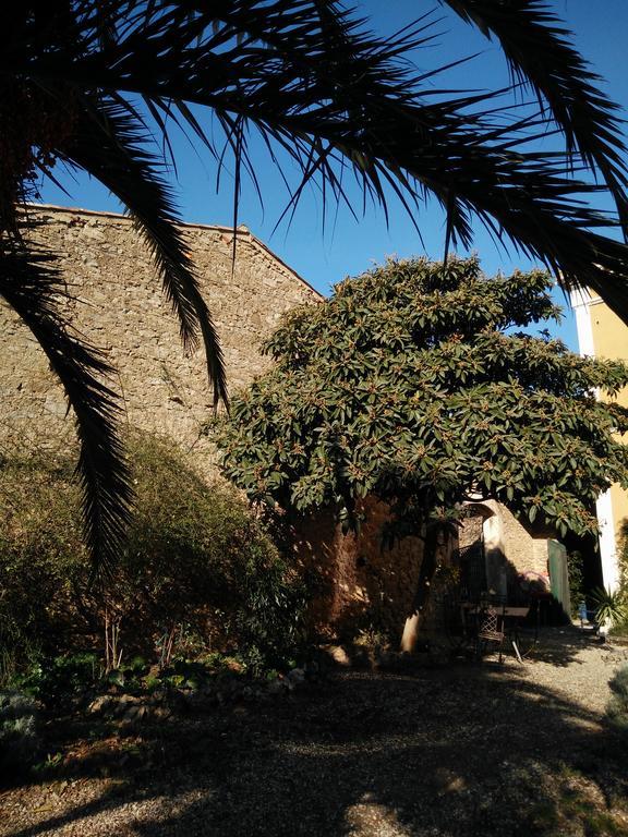 הומפס La Maison Des Palmiers מראה חיצוני תמונה