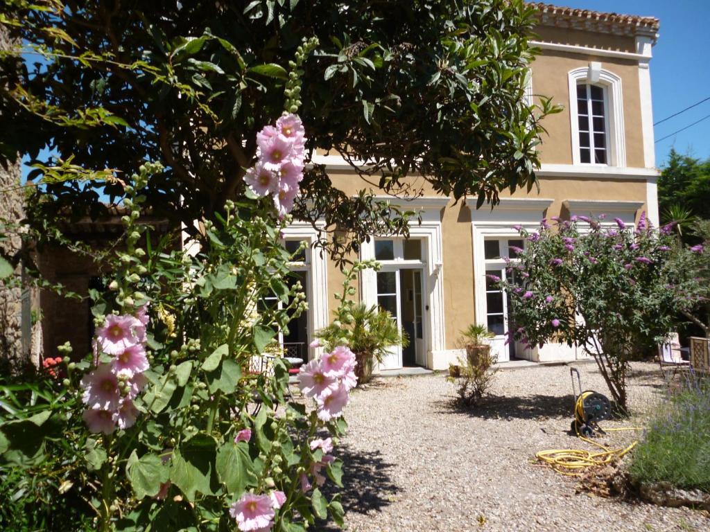 הומפס La Maison Des Palmiers מראה חיצוני תמונה