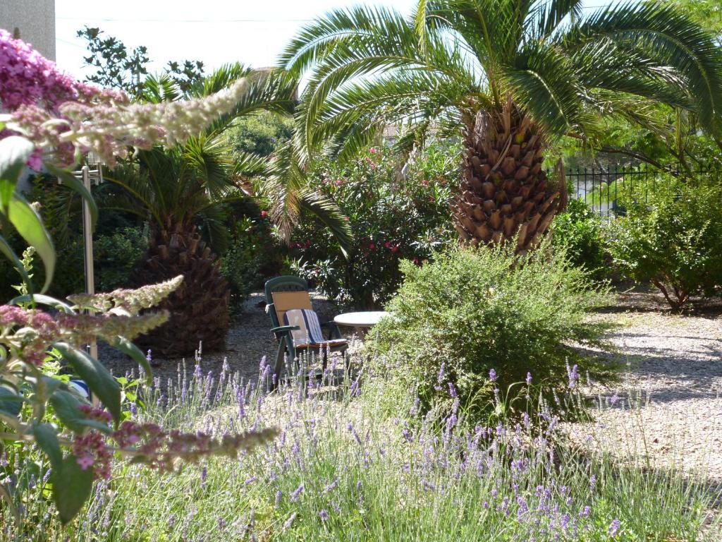 הומפס La Maison Des Palmiers מראה חיצוני תמונה