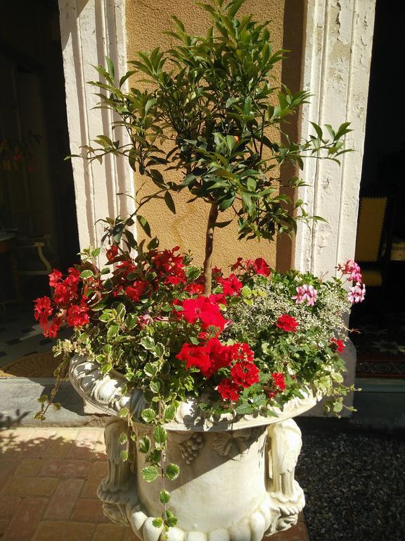 הומפס La Maison Des Palmiers מראה חיצוני תמונה