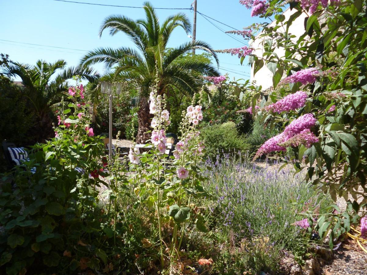 הומפס La Maison Des Palmiers מראה חיצוני תמונה